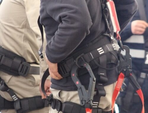 Arnés de Seguridad y el Cabo de Vida: Componentes Esenciales del Sistema de Protección en Altura