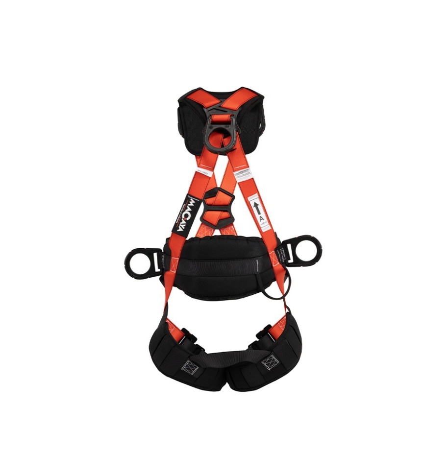 Arnés 6 Argollas Dieléctrico con Faja, Muslera y Espalda