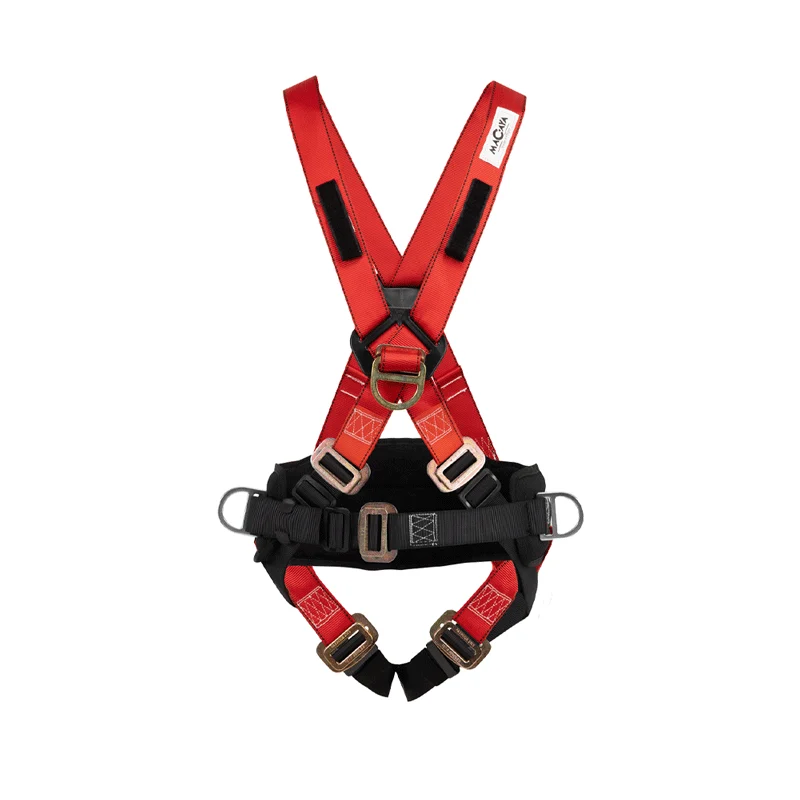 Arnés de seguridad 4 argollas con faja lumbar y porta herramientas Macaya Safety